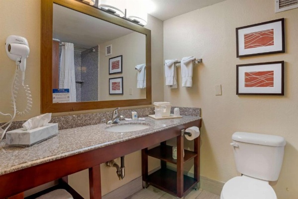 Comfort Inn University Area image 10