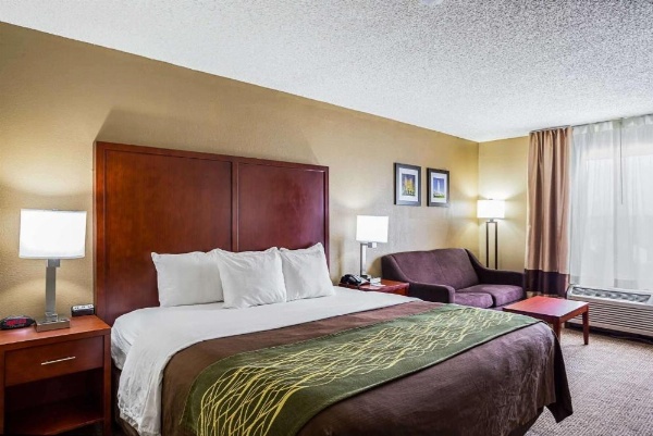 Comfort Inn University Area image 12