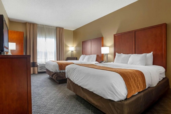Comfort Inn University Area image 14