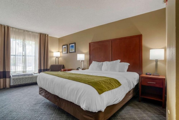 Comfort Inn University Area image 18