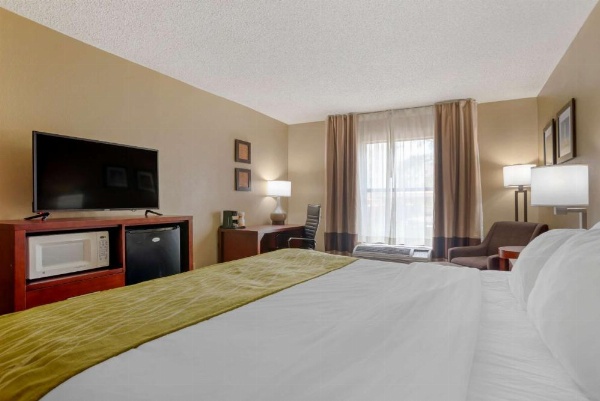 Comfort Inn University Area image 21