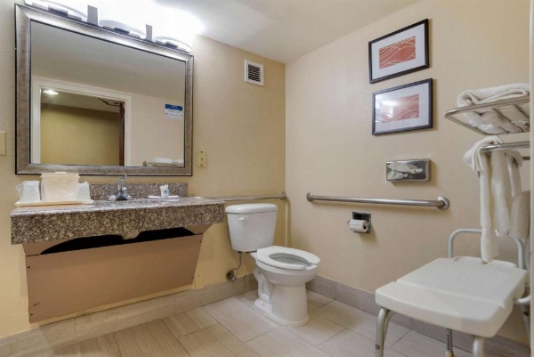 Comfort Inn University Area image 23