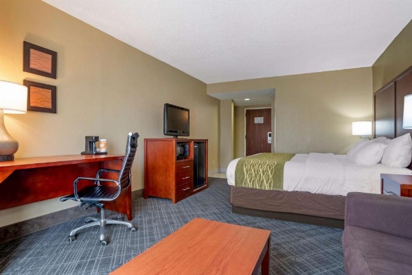 Comfort Inn University Area image 9
